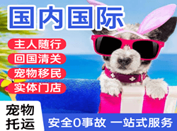 江北空运公司国际宠物托运 【国